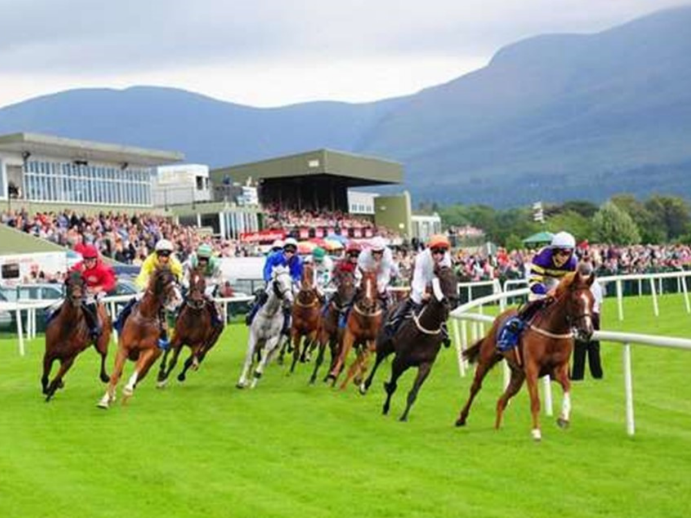 Irish Racing Pub Of The Year