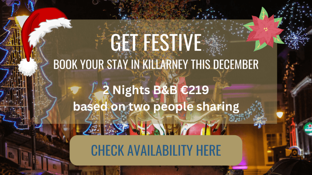 Christmas In Killarney Dan Linehan's B&B